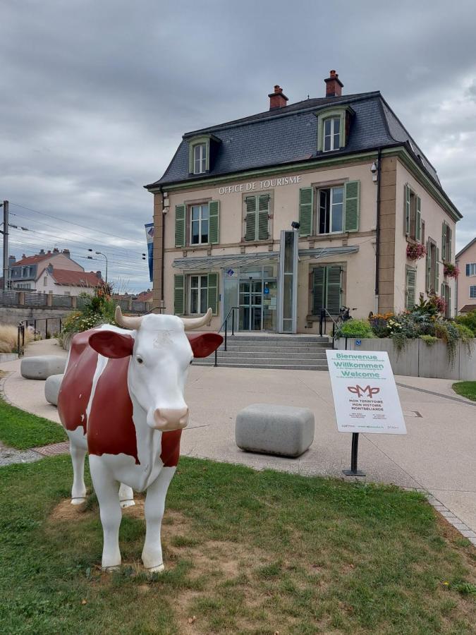Appart' Duchatelain Lumineux, Vue Sur Chateau Montbéliard Zewnętrze zdjęcie